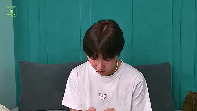 HeejinWang Webcam show