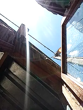 Maintee27 网络视讯表演