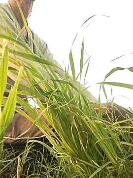 ThethunderPo: διαδικτυακό σόου στην κάμερα