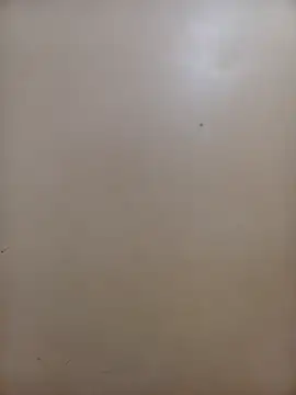 PatriciaVen Live XXX-chat