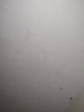 Pokazy przed kamerką – 247Srokin