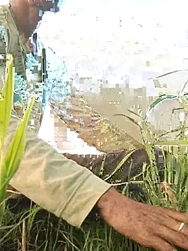 ThethunderPo – Naživo XXX chat