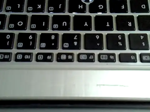 Delicious-D: вебкам-шоу