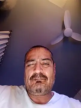 Chat XXX en directo de bimexpoexist