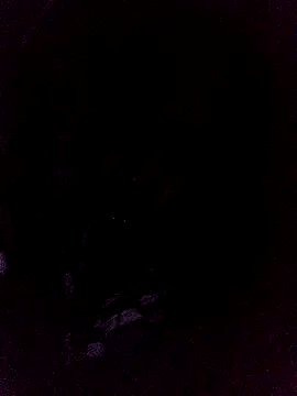 Czat XXX na żywo – Hellentrans24