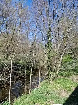 SEXY-ZOEn Webbikameraesitys