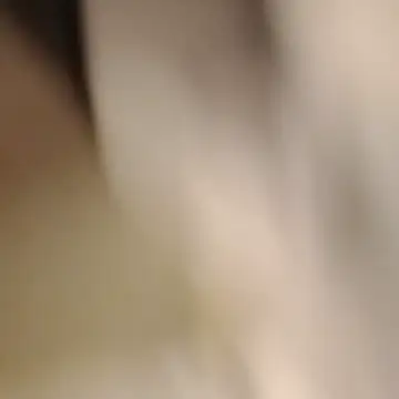 eldone82's Webcam Show