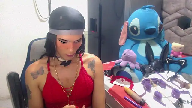 michaeldisstsn Webbikameraesitys