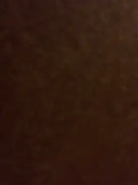 Ldnick69 网络视讯表演