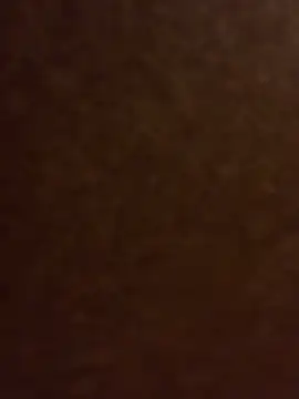 Show de Ldnick69 na webcam