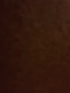 Ldnick69 Obrolan Langsung XXX