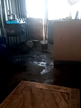 Pokazy przed kamerką – matureexoticdance