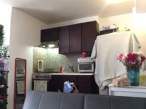 littyleesh1 Live XXX-Chat