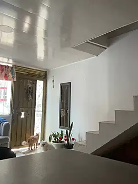 RachelWeisz_ Live XXX-chat