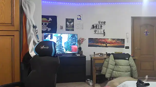 maestroboris95n Webbikameraesitys