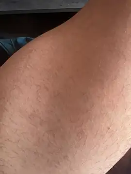 dk2995n Webbikameraesitys