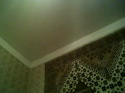 FayInessaKiss' Live XXX Chat