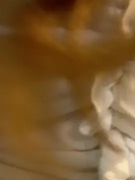 didihairypussy Obrolan Langsung XXX