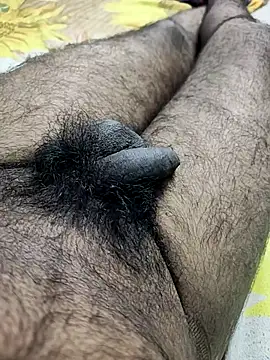 narutojeeva Webcam-Show