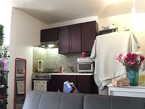 littyleesh1 Chat XXX live