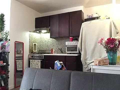 littyleesh1 webcam show