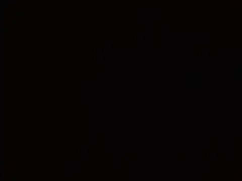 Czat XXX na żywo – 2Hot2gether69