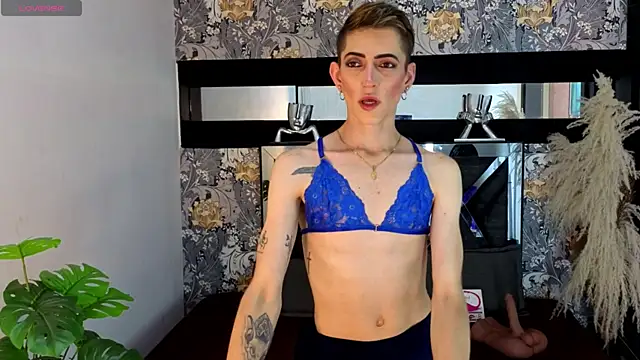 dominic_thailor live XXX chat