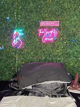 RenaThickAss' Webcam Show