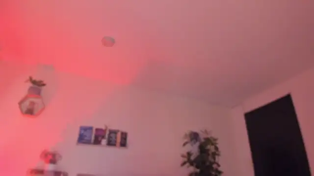 YariRose élő XXX-chatje