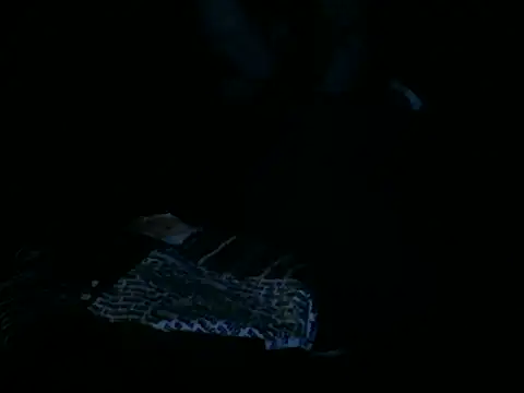 slutvikin Webbikameraesitys