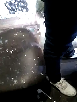 Wero4200n Webbikameraesitys