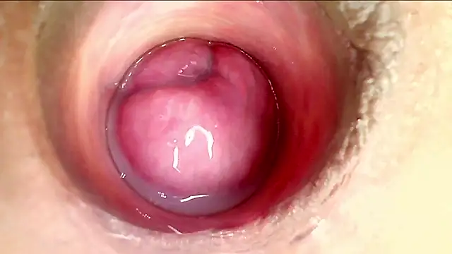 Chat +18 de karol_kane ao vivo