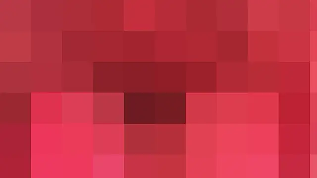 donghuangtaiyi--- 网络视讯表演