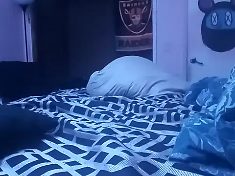 Blkstylion লাইভ XXX চ্যাট