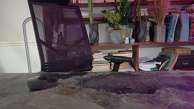 yvanbonarn Webbikameraesitys