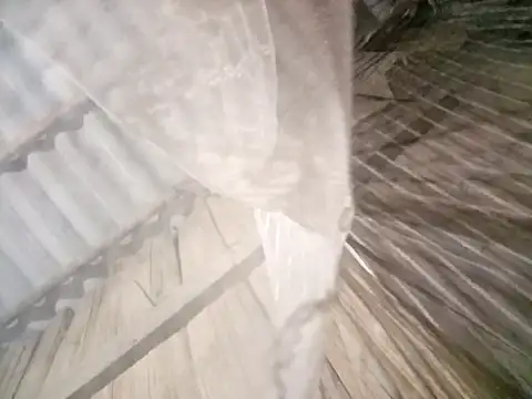 Linhna20 网络视讯表演