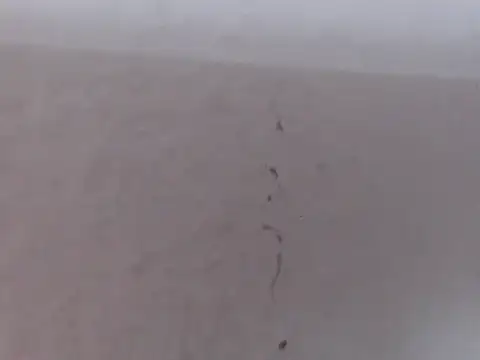 alexam_gal@xh – Naživo XXX chat