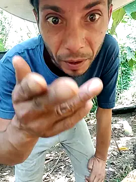 AlphaAlterX – Kamerová šou