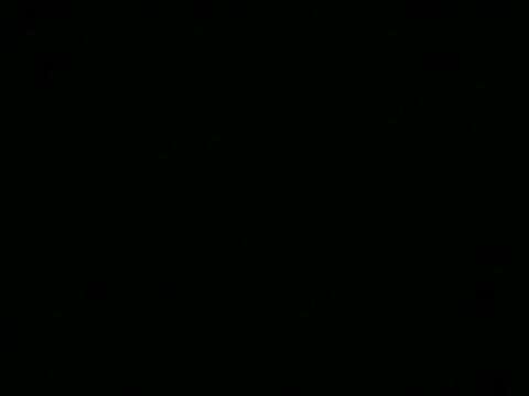 Sembang XXX Secara Langsung MALLU_WAVES