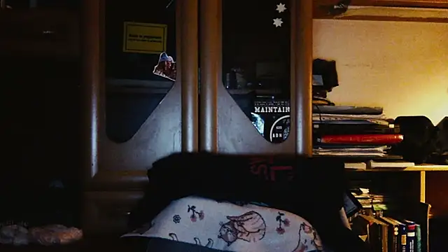 Show Webcam de firefoxfeel