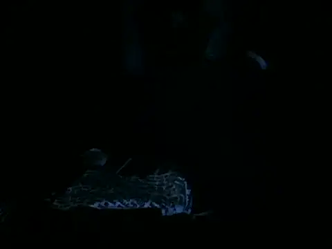 slutviki Show Webcam