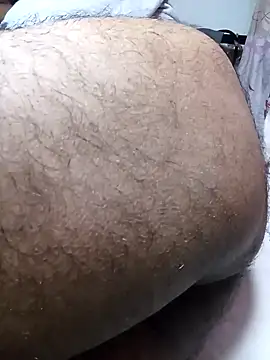 Expresshorsen Webbikameraesitys