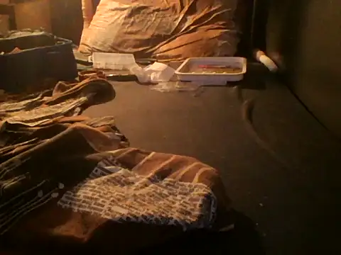 Show modela slutviki na web-kameri