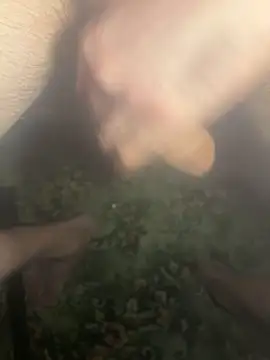 zozo971008 웹캠 쇼