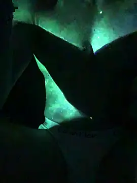 exhibition08 élő XXX-chatje