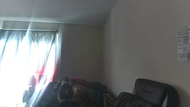 RickStone51 Chat XXX live