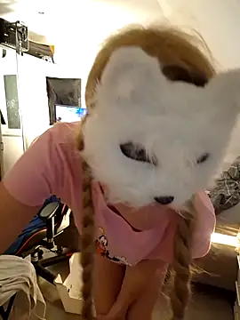 Show modela SPrITZMAUS na web-kameri