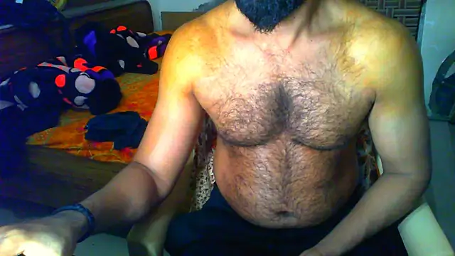 Vbestshow 网络视讯表演