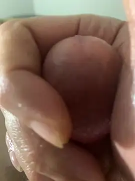 Ce3003 Pertunjukan Webcam