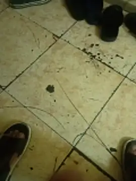 Stallionbull37 现场XXX聊天